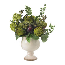 plants