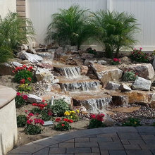 Landscape Ideas