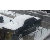 Stephen Roane's photo