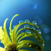 Eric Sandoval's photo