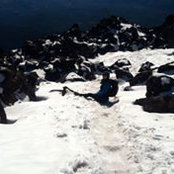 Shasta Champion's photo