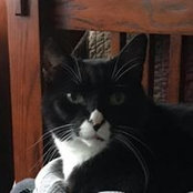Stuart Kalbrofsky's photo