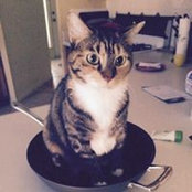 Kat Cairns's photo