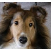 Janice Gossen's photo