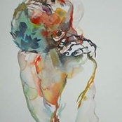 Stephane Couret's photo