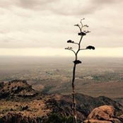 Brandon Buckingham's photo