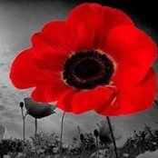 Melanie Phillips's photo