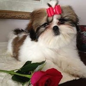Nancy Alers's photo