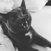 Jela Saufley's photo