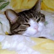 Foto de Kathleen Duirk-Daley