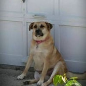 Daneen Kotz's photo