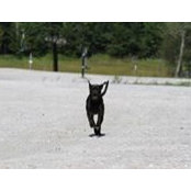 Andrew Airoldi's photo