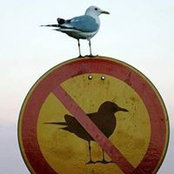 Lisa Birk's photo