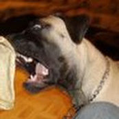 Steven Leventant's photo