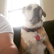 Rachel Spaccarotelli's photo