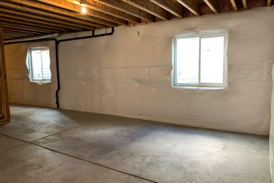 Michelle's Basement