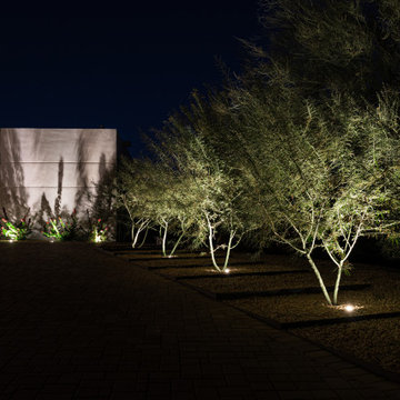 Paradise Pool and Outdoor Living Landscape on Paradise Valley