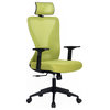 Modern Home Xelo Testa Mid-Back Desk/Office Task Chair, Computer Ergonomic Mesh