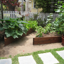 Garden And Patio