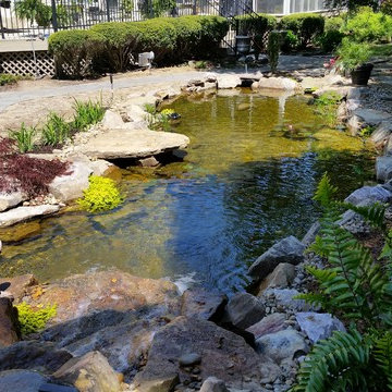 Koi Pond with Waterfalls and Patio / Walkway in Blythewood SC