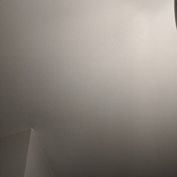 Ceiling Repair