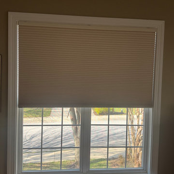 Blackout honeycomb shades