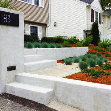 Suburban Modern