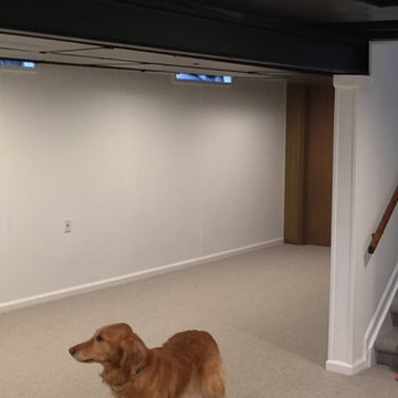 Ann Arbor Basement Finishing Remodel