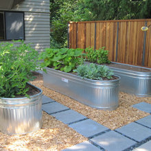raised beds