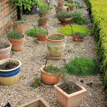 10 Reasons Why You Suck At Landscape Gardening
