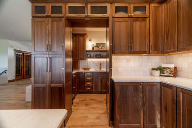 Home design - 1950s home design idea in Denver
