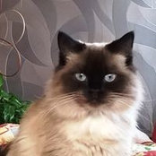 Barbara Brunner's photo