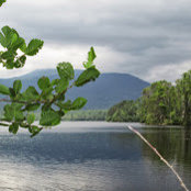 Bree Langlois's photo