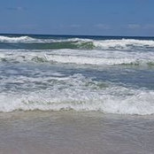 Lisa Quam's photo