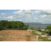 David Hall's photo