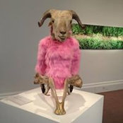 Mahmud Rustamov's photo