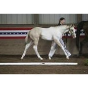 Valerie Hebert's photo