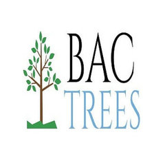BAC Trees