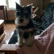 Foto von Lisa Smith McCleaf