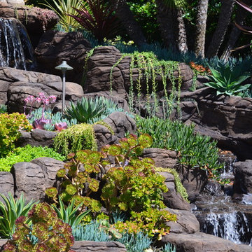 Hanging gardens of Laguna