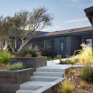 California Scandi-Modern