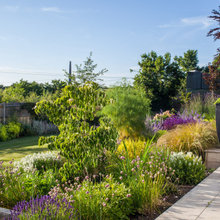 yard plantings