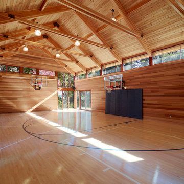 Indoor Home Basketball Court