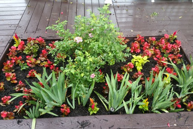 Design ideas for a landscaping in Dallas.