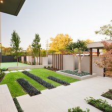 Backyard Landscape