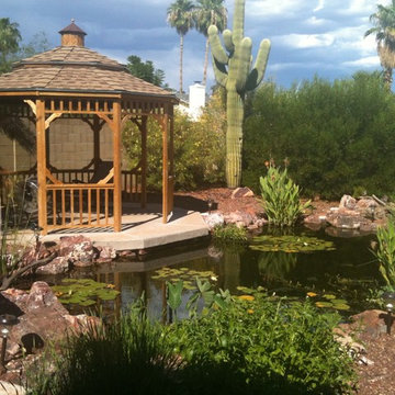 Johnson Residence Backyard Ecosystem Pond in Glendale, AZ