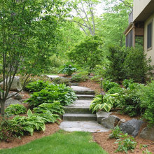 Ghost Needs New Soil & Plantings On Both Sides Of Stairs To Cabin