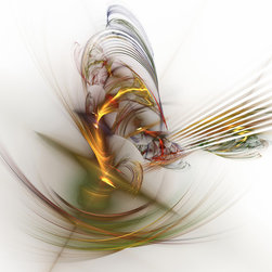 Bird of Paradise 2 - Fine Art Prints