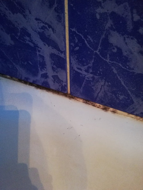 Is it possible to clean those black spots? How?