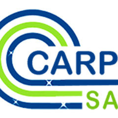 carpet cleaning same day
